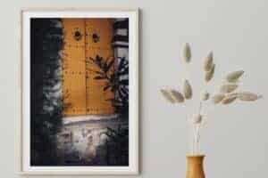 Le Chat à La Porte - Tunisie Photo Edition Limitée