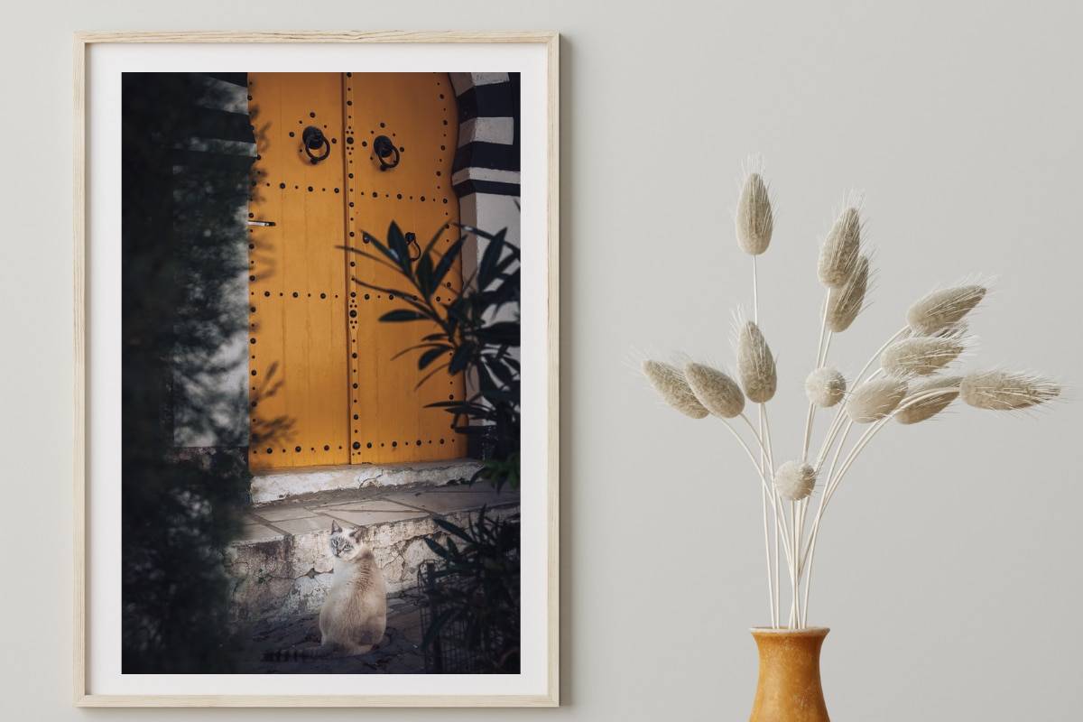 Le Chat à La Porte - Tunisie Photo Edition Limitée