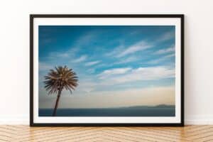 Le Palmier - Tunisie Photo Edition Limitée