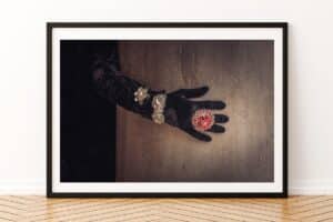 La Bagouze - Venise Photo Edition Limitée